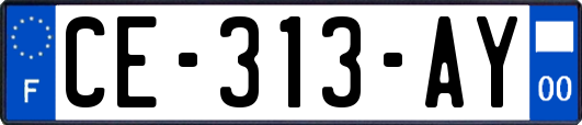 CE-313-AY