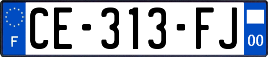 CE-313-FJ