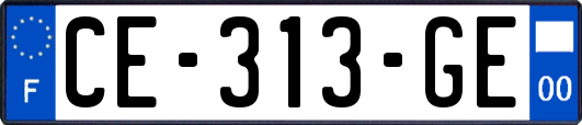CE-313-GE