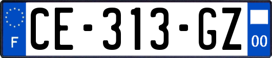 CE-313-GZ