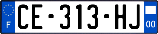 CE-313-HJ