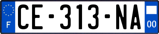 CE-313-NA