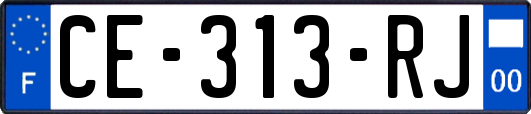 CE-313-RJ