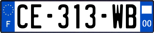 CE-313-WB