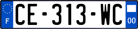 CE-313-WC