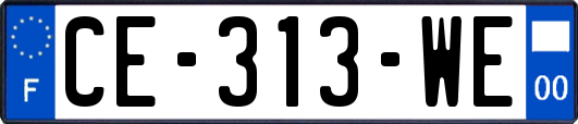 CE-313-WE