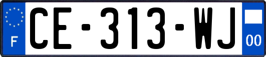 CE-313-WJ