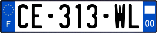 CE-313-WL