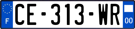 CE-313-WR