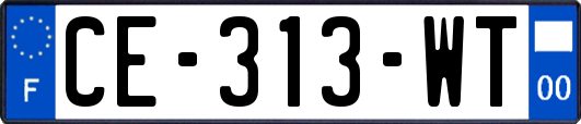 CE-313-WT