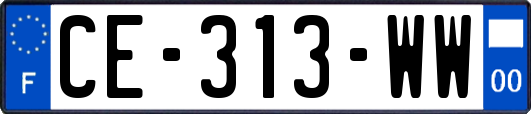 CE-313-WW