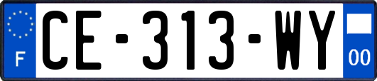 CE-313-WY