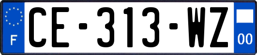 CE-313-WZ