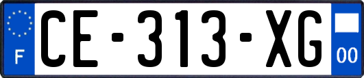 CE-313-XG