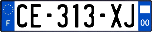 CE-313-XJ