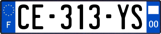 CE-313-YS