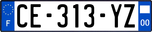 CE-313-YZ