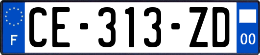 CE-313-ZD