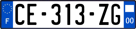 CE-313-ZG