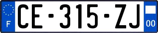 CE-315-ZJ