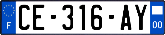 CE-316-AY