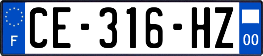 CE-316-HZ