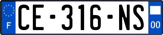 CE-316-NS