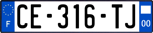 CE-316-TJ