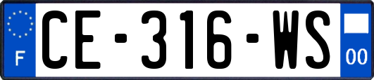 CE-316-WS