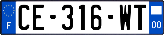 CE-316-WT