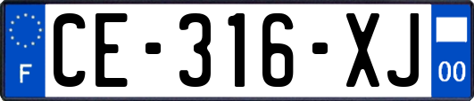 CE-316-XJ