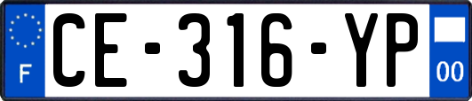 CE-316-YP