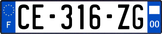 CE-316-ZG