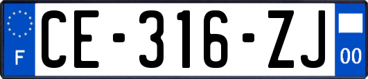 CE-316-ZJ