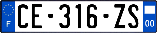 CE-316-ZS