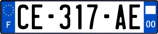 CE-317-AE