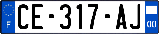 CE-317-AJ