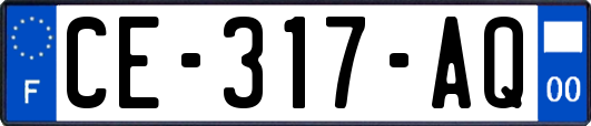 CE-317-AQ