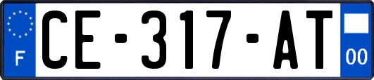 CE-317-AT