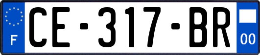 CE-317-BR