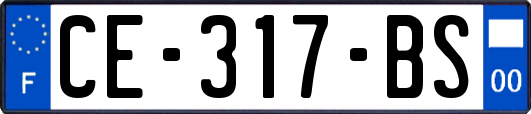 CE-317-BS