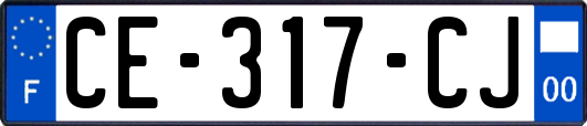 CE-317-CJ