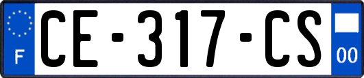 CE-317-CS