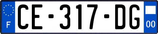 CE-317-DG