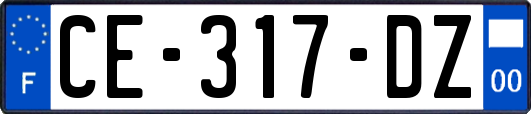 CE-317-DZ
