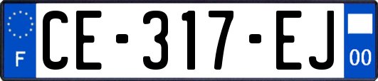 CE-317-EJ