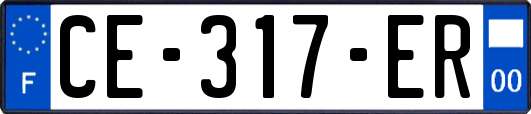 CE-317-ER