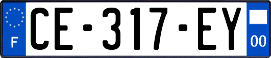 CE-317-EY