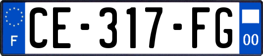 CE-317-FG