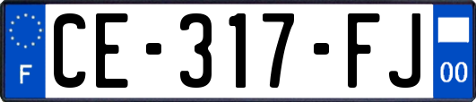 CE-317-FJ
